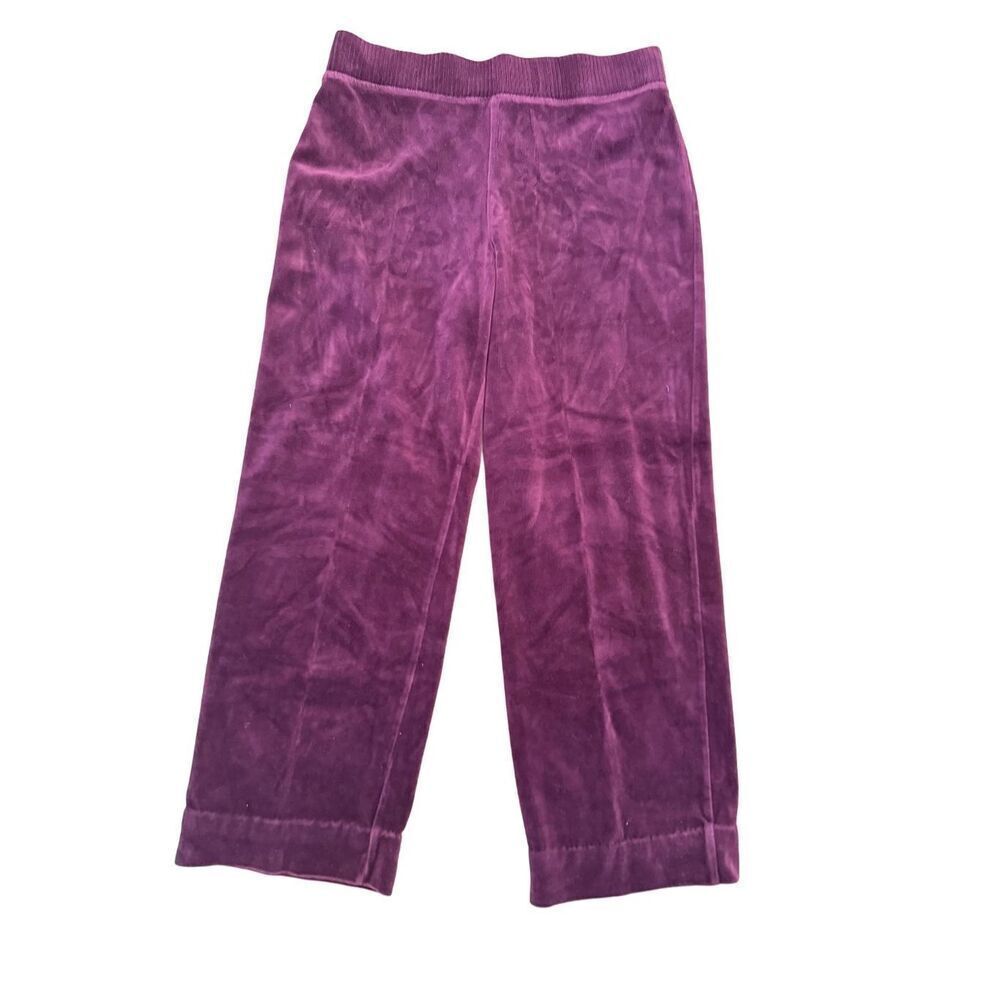 Jones New York Pants medium plush velvet pull on casual loungewear plum purple